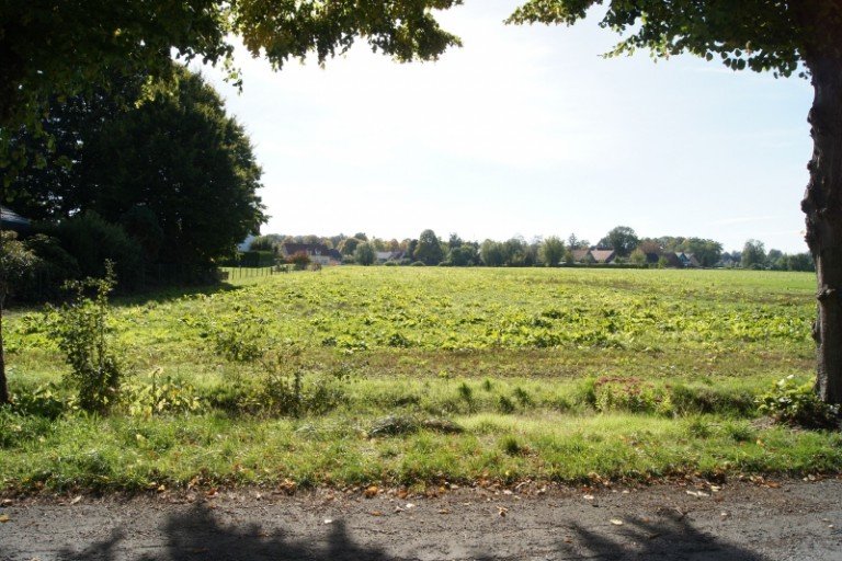 DSC05976 L�hne Grundst�ck Gro�es Grundst�ck in ruhiger Lage mit Bau-Vorbescheid