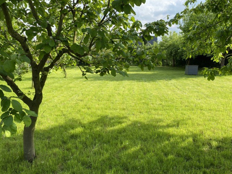 IMG_5199 L�hne Grundst�ck Baul�cke im Zentrum von Mennigh�ffen bautr�gerfrei